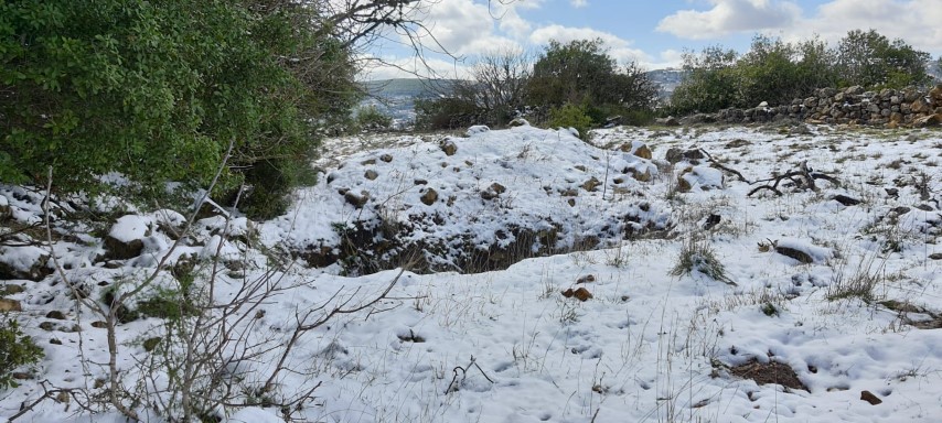 התחלנו: שלג החל לרדת בצפון רמת הגולן. צפו